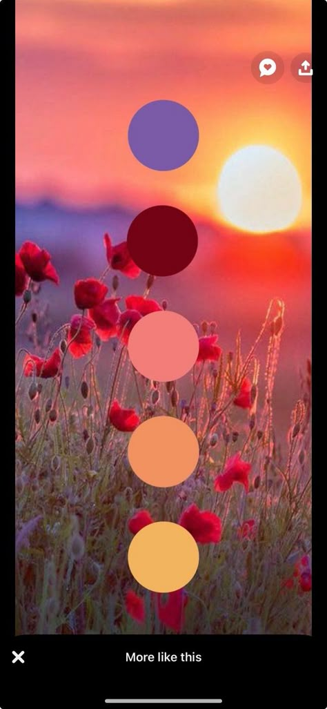 Branding Colour Palette Mood Boards, Sunset Pallet Wedding, Spring Sunset Wedding Colors, Sunset Color Palette Wedding Flowers, Summer Sunset Color Palette, Sunset Color Scheme Wedding, Sunset Wedding Colors Colour Palettes, Sunset Palette Wedding, Sunset Wedding Palette