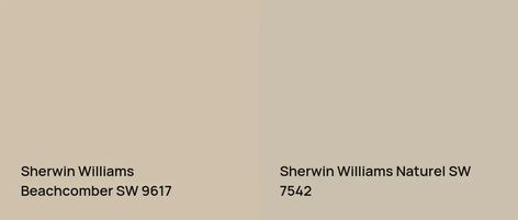 Sherwin Williams Beachcomber SW 9617: 28 real home pictures Sherwin Williams Beachcomber, Beachcomber Sherwin Williams, Warm Paint Colors, Colors For Living Room, Choosing Paint, Monochromatic Color Scheme, Sherwin Williams Paint Colors, Bright Rooms, Colour Field