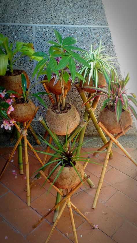 Twig Furniture, Hanging Plants Diy, Shell Planter, Easy Room Decor, Bamboo Trellis, Bamboo Decor, Bamboo Crafts, Diy Bottle Crafts, Bamboo Furniture