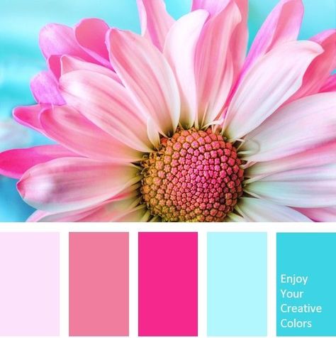 Color Palette #0005 Pink flower Color Palette Fuschia, Pantone Rosa, Journal Sections, Fuschia Pink Color, Fuschia Color, Pink Color Combination, Fuschia Dress, Color Palette Challenge, Blue Color Palette