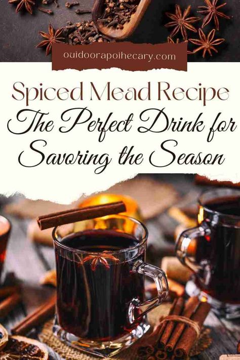 Mulled Mead Recipe, Spiced Mead Recipe, Christmas Mead Recipe, Mead Flavors, Mulled Mead, Mead Drinks, Outdoor Apothecary, Mead Recipes, Honey Mead