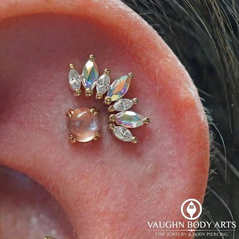 Body Vision Los Angeles on Instagram: “We love this Athena and Cab Prong combo by @vaughnbodyarts ! ✨👏🏻” Bvla Jewelry, Helix Piercings, Cool Ear Piercings, Cool Piercings, Cute Ear Piercings, Cute Piercings, Monterey Ca, Body Jewelry Piercing, Body Piercings