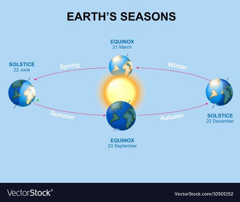 Earth Seasons, Vernal Equinox, Autumnal Equinox, Summer Solstice, Winter Solstice, Single Image, Law Of Attraction, Vector Images, Web Design