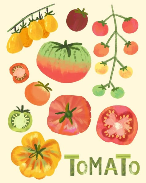 Jaime Cromer. Farmers Market Produce, Tomato Illustration, Plant Collage, Veggie Art, Vegetable Illustration, Wall Decor Kitchen, Pottery Painting Designs, Food Illustration, Heirloom Tomatoes