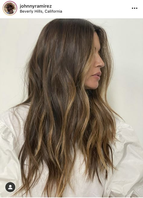 Color And Partial Highlight, Light Brown Partial Balayage, Mini Partial Highlights, Classic Brunette Hair, Balayage For Medium Brown Hair, Subtle Highlights Brown Hair, Soft Balayage Brunette, Highlights On Medium Brown Hair, Subtle Brunette Balayage