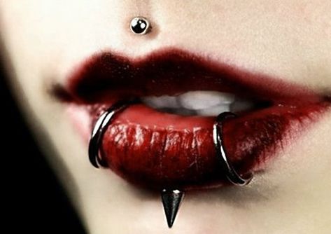 Cool piercing Ideas For Girls (39) Labret Vertical, Snake Bite Piercing, Snakebites, Medusa Piercing, Face Piercings, Cool Piercings, Labret Piercing, Facial Piercings, Snake Bites