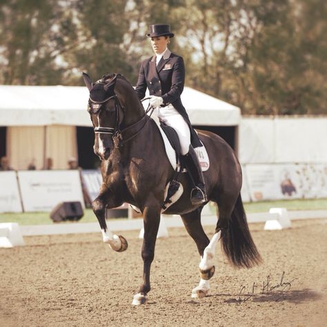 be so good they cant ignore you Dressage Photography, Olympic Horses, Fun Activites, Charlotte Dujardin, Dressage Competition, Equestrian Photography, Horse Inspiration, Horse Dressage, Horse Boarding