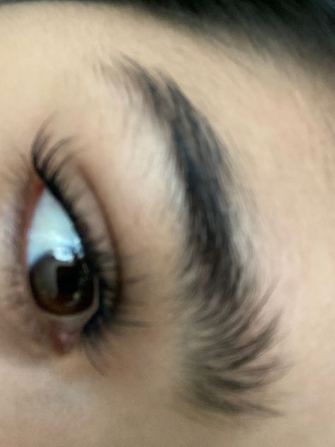 diy lash extensions, kiss falscara eyelashes Kiss Falscara Lashes, Kiss Lashes, Diy Lash Extensions, Angel Eyes, Lash Extensions, Eyelashes, Lashes, Makeup