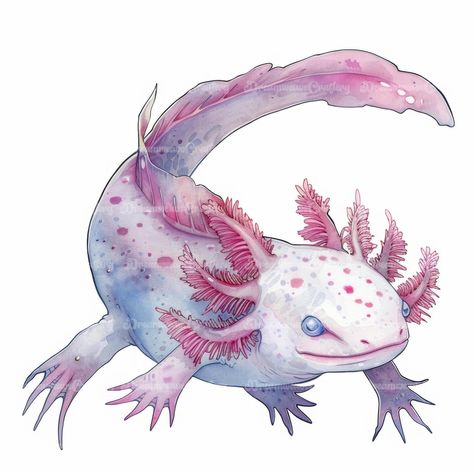 Cartoon Axolotl Clipart Marine Animals Watercolor Art Printable High Quality JPG Papercraft Junk Journal Scrapbooking Digital Download On Etsy: dreamweavecraftery.etsy.com #cute #cartoon #watercolor #clipart #art #papercraft #designing #craft #junkjournal #printable #download #scrapbooking #scrapbook #print #design #axolotl #marine #animals #marineanimals #sea #ocean #creature Axolotl Art Cute, Axolotl Watercolor, Axolotl Clipart, Axolotl Illustration, Axolotl Tattoo, Axolotl Cartoon, Cartoon Axolotl, Axolotl Art, Art Papercraft