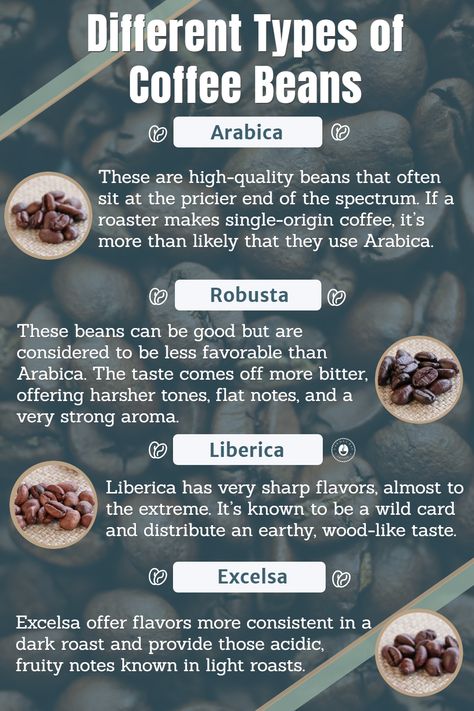 Different Types Of Coffee Beans, Coffee Bean Types, How To Make Different Types Of Coffee, Roasting Coffee Beans At Home, Coffee Education, Coffee Bean Shop, Raw Coffee Beans, Benefits Of Coffee, Types Of Coffee Beans