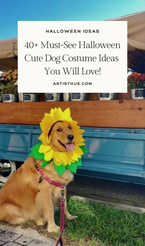 Cute Dog Halloween Costume ideas You Must See #halloween #petcostumes Cute Dog Halloween Costumes, Dog Costume Ideas, Halloween Dog Costume, Cute Dog Costumes, Dog Halloween Costume, Dog Halloween Costumes, Halloween Dog, Dog Costumes, Dog Costume