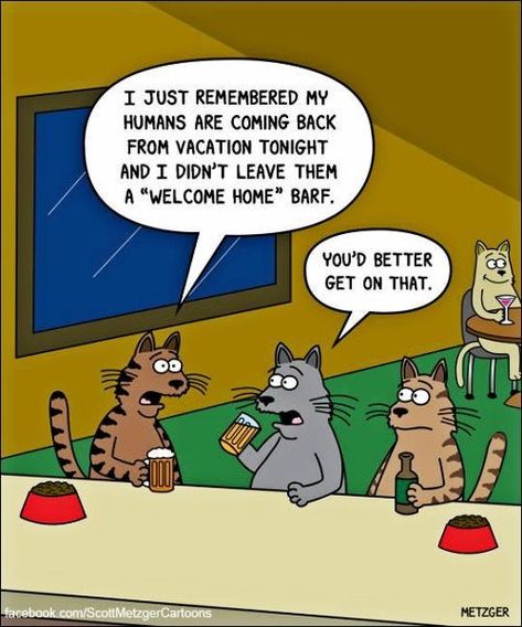 Cats at the bar and one realizes his humans are coming home tonight and he forgot to leave them a welcome home barf Funny Cat Cartoons, Vacation Funny, Cat Cartoons, Cat Jokes, Cat Comics, Three Cats, Cat Books, Kittens Funny, Cat Posters