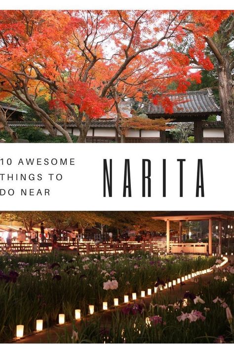 Visiting Tokyo? If you have a long layover in Narita and are looking for things to do near Narita airport then check out this list of 10 amazing Japanese experiences you can do within one hour of the airport that doesn’t require traveling into Tokyo! #JapanVacation #NaritaAirport #TokyoTravel #TokyoDayTrips #JapanAdventure #JapanActivities #TokyoActivities #ThingstodoinTokyo Sake Tasting, Narita Japan, Narita Airport, Day Trips From Tokyo, Asia City, Visit Tokyo, Japan Vacation, Japan Travel Tips, Travel Destinations Asia