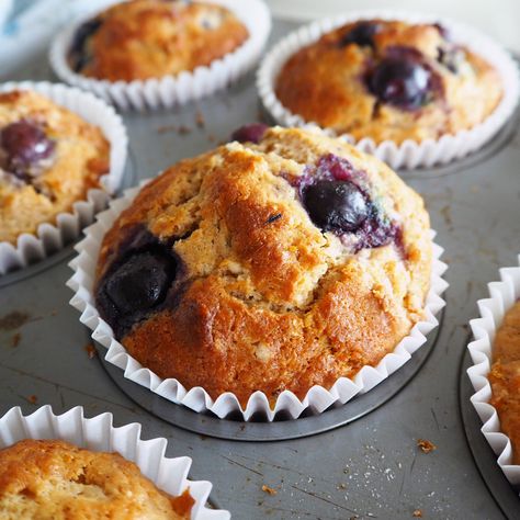 blueberry lemon and spelt muffins Spelt Muffins Recipes, Spelt Blueberry Muffins, Spelt Flour Muffins, Blueberry Muffins With Spelt Flour, Blueberry Muffins Oat Flour, High Protein Lemon Blueberry Muffins, Blueberry Baking, Spelt Muffins, Lemon Blubbery Muffins