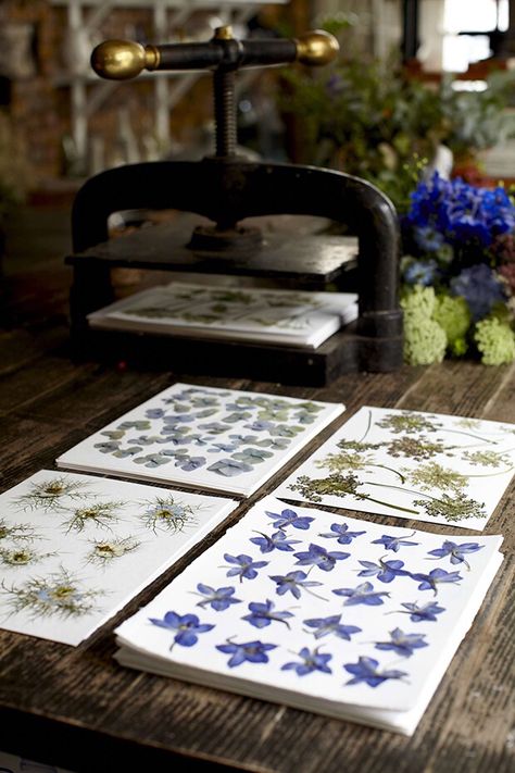 Mulberry SS15 pressed flowers Pressing Flowers, Bouquets Of Flowers, Salve Recipes, Bloom And Wild, Beautiful Bouquets, Pressed Flower Art, Flower Invitation, Flower Artwork, Creative Workshop