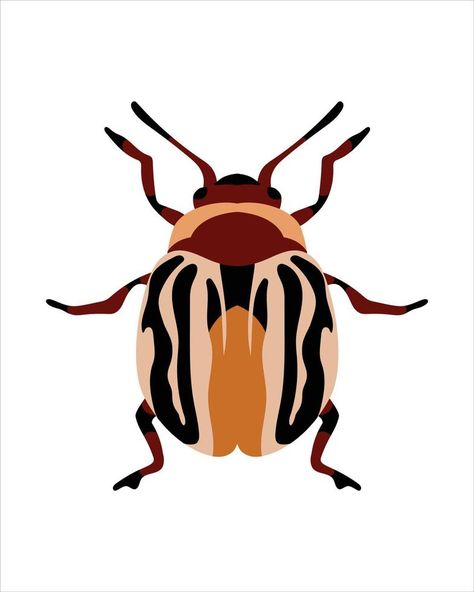 zygogramma conjucta. flat vector illustration of bugs. insects and garden concept animated in colorful theme. cartoon illustration of nature isolated on white background. Bug Vector, Bug Illustration, Garden Concept, Vector Nature, June Bug, Flat Vector Illustration, Insect Art, Background Background, Flat Vector