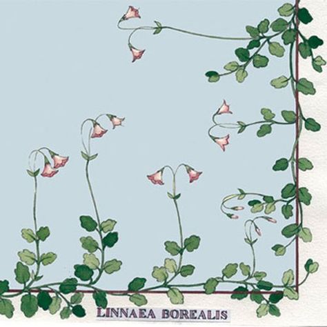 Linnea Borealis, Dainty Tattoos, Cross Stitch Borders, Scandinavian Art, Floral Artwork, Mini Tattoos, Flower Design, Flower Designs, Flower Tattoo