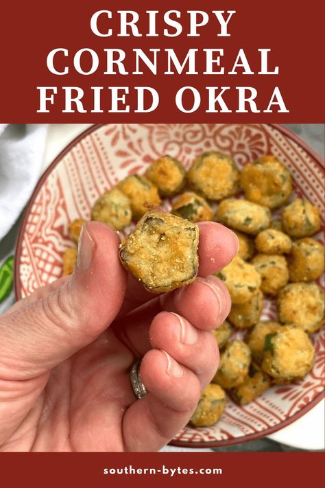 This Fried Okra is dredged in buttermilk and breaded in a flour & cornmeal coating that's loaded with flavor. Fried until crispy in peanut oil, it’s an addictive Southern appetizer, snack, or side dish. Oven Fried Okra, Fried Okra Recipe, Southern Fried Okra, Vegetable Dishes Recipes, Southern Appetizers, Baked Fried Chicken, Okra Recipe, Crispy Recipes, Fried Okra