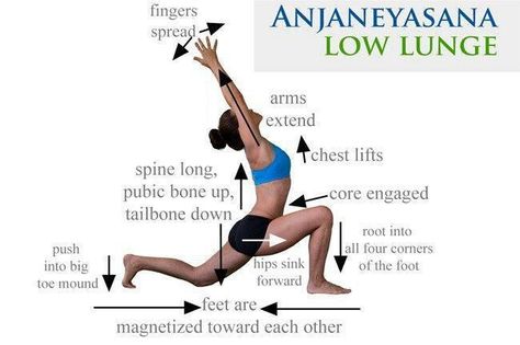 Anjaneyasana Low Lunge Low Lunge, Bolesti Chrbta, Yoga Anatomy, Yoga Techniques, Sup Yoga, Yoga Moves, Yoga Help, Teaching Yoga, Types Of Yoga