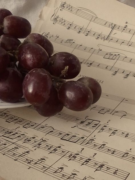 Purple Grape Aesthetic, Grapes Aesthetic Purple, Wine Grapes Aesthetic, Grape Purple Aesthetic, Grape Vine Aesthetic, Grapes Aesthetic Wallpaper, Grapevine Aesthetic, Red Grapes Aesthetic, Prudence Aesthetic