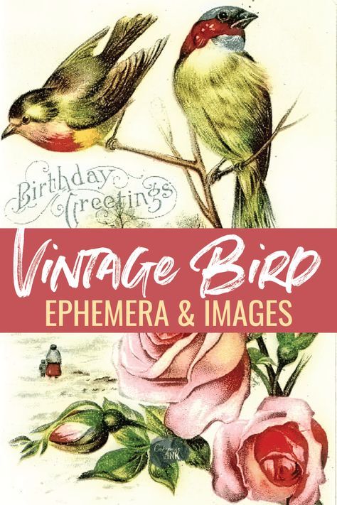 Free Vintage Printables Public Domain, Bird Birthday Cards, Bird Ephemera, Hummingbird Cards, Decoupage Paper Printable, Free Paper Printables, Printable Journal Cards, Flamingo Illustration, Bird Images