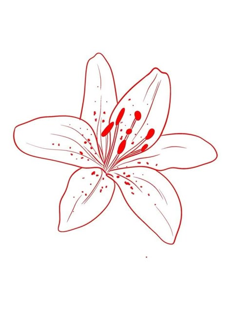 Lily Flower Line Drawing, Flower Tattoo Outline Drawing, Lilies Flowers Tattoos, Lily Flower Outline, Outline Flower Tattoo, Fine Line Lily Tattoo, Lily Outline, Lily Stencil, Line Drawing Of Flowers