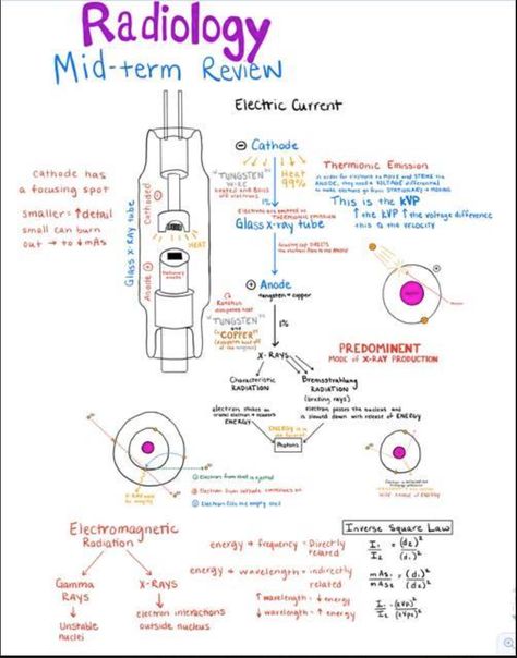 Radiology from I Love Veterinary Medicine FB Page Vtne Study, Radiography Student, Rad Tech Student, Radiology Schools, Medical Radiography, Veterinary Nursing, Vet Tech School, Radiologic Technology, Dental Assistant Study