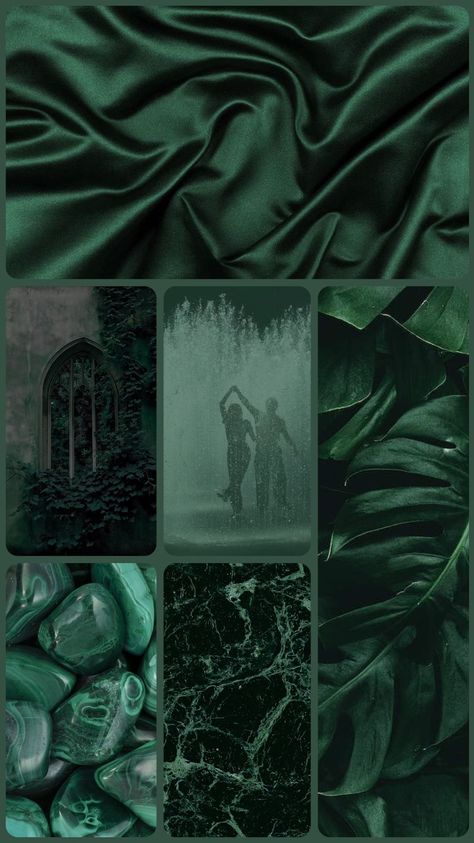 Bottle Green Aesthetic, Background Aesthetic Collage, Dark Green Iphone, Water Rain, Rain Wallpapers, Collage Iphone, Green Iphone, Green Room, Plant Wallpaper