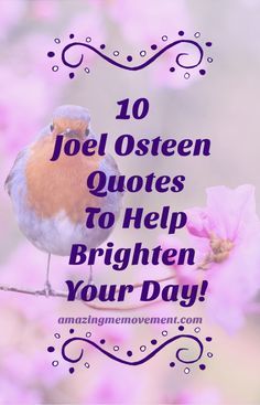 10 Joel Osteen quotes to brighten your day and give you hope. hope quotes|uplifting quotes|quotes for women|positive quotes|words of encouragement|self help blogs|self love blogs|best quotes of the day|motivational quotes|inspirational quotes|quotes for women Inspirational Words Of Encouragement, Joel Osteen Quotes, Uplifting Quotes Positive, Life Encouragement, Quotes About Hard Times, Positive Encouragement, Motivation Positive, Joel Osteen, Inspirational Quotes About Love