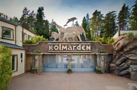 Zoo Entrance Design, Planet Zoo Entrance Ideas, Zoo Entrance Ideas, Theme Park Entrance, Zoo Buildings, Zoo Exhibit Design, Planet Zoo Habitat Ideas, Zoo Aesthetic, Zoo Layout