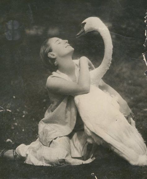 Stunning Photos of Ballerina Anna Pavlova and Her Swan - I Can Has Cheezburger? Piskel Art, Ballet Russe, Anna Pavlova, Vintage Ballet, Russian Ballet, Maria Callas, Tilda Swinton, Photo Vintage, Funny Dog Videos