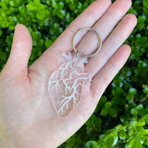 Background Education, Medical Pins, Ipad Essentials, Clear Heart, Keychain Ring, Unique Keychains, Anatomical Heart, Pink Acrylic, Pink Acrylics