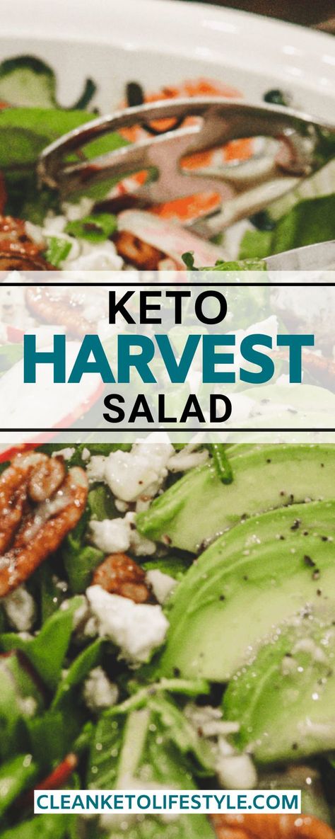 Keto Fall Salad Recipes, Healthy Keto Salads, Keto Holiday Side Dishes, Keto Green Salad, Keto Friendly Salads, Low Carb Salads Healthy, Keto Asian Salad, Low Carb Thanksgiving Sides, Keto Spinach Salad