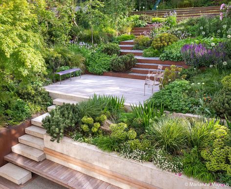 Steep Gardens, Sloped Backyard Landscaping, Hill Garden, Muswell Hill, Terrace Garden Design, Sloped Backyard, Garden Stairs, Tiered Garden, Back Garden Design