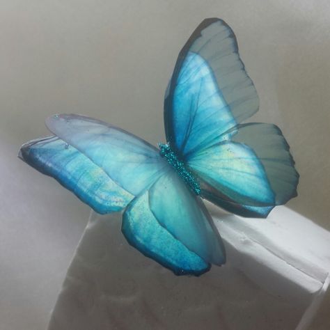 Rich light blue resin butterflies heading of to France to decorate a dress like in the movie "Cinderella" , So beautiful Like A G6, Cinderella Aesthetic, Cute Blue Wallpaper, Light Blue Aesthetic, Flower Meanings, Blue Butterflies, Butterfly Photos, Blue Fairy, Iphone Photo App