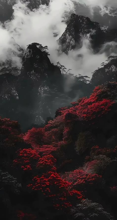 Forest Mist, Book Cover Background, Iphone Wallpaper Texture, Dynamic Wallpaper, Red And Black Wallpaper, Iphone Dynamic Wallpaper, Android Wallpaper Art, Phone Wallpaper Boho, Space Phone Wallpaper