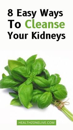 Kidney Cleanse Natural, Kidney Healthy Foods, Food For Kidney Health, Kidney Friendly Diet, Health Zone, Improve Kidney Function, Kidney Detox, Kidney Friendly Foods, Kidney Recipes