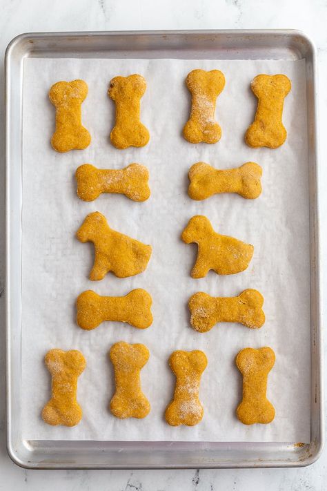 Pumpkin Dog Biscuits Recipe - Food with Feeling Pumpkin Dog Biscuits Recipes, Coconut Oil Dog Treats, Pumpkin Whole, Pumpkin Dog Biscuits, Pumpkin Coconut, Dog Biscuit, Fat Dogs, Dog Biscuit Recipes, Coconut Oil For Dogs