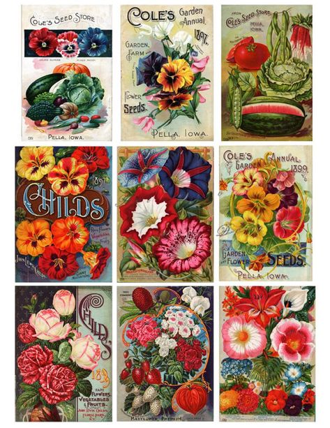 Vintage seed packets flowers fruits and vegetables | Etsy Printable Seed Packets, Large Collage, Flower Seed Packets, Vintage Seed Packets, Flower Seeds Packets, Seed Packaging, Flower Collage, Seed Pack, Victorian Flowers