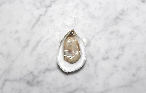 Island Creek, Oyster | Photo by Dan Forbes John Dory, Gemstone Rings, Chef, Restaurant, Gemstones, Nature