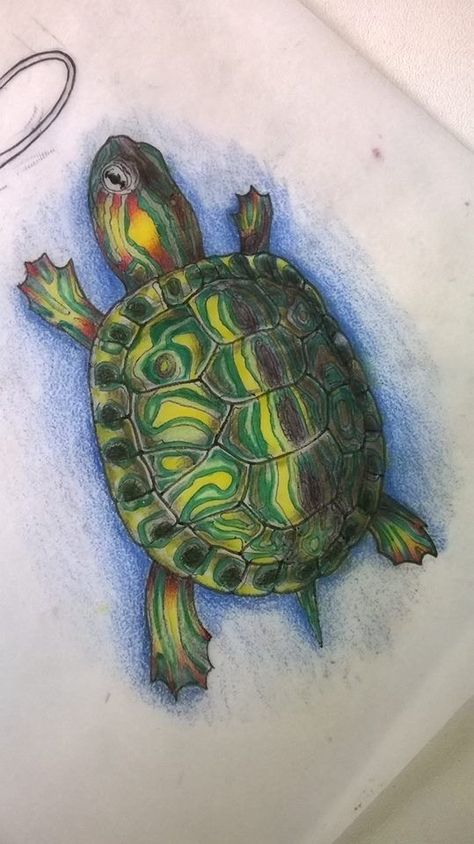 Sea Turtle Hatching Drawing, Turtle Pastel Drawing, Turtle Drawing Tutorial, Turtle Drawing Color, Painted Turtle Tattoo, Turtles Drawing, Draw A Turtle, Turtle Sketch, Tortoise Drawing