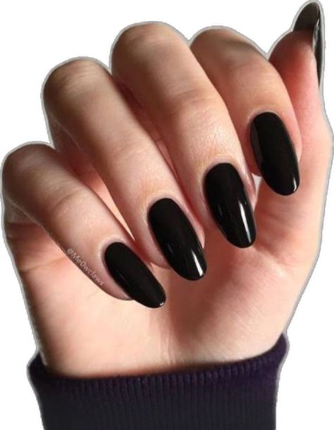 Black Oval Acrylic Nails, Old Money Nails, Money Nails, Unghie Sfumate, Kutek Disney, Casual Nails, Almond Acrylic Nails, Round Nails, Oval Nails