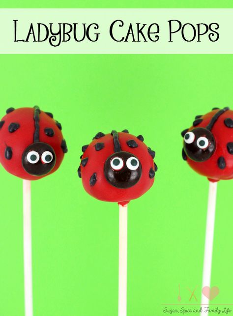 Ladybug Cake Pops Recipe - Sugar, Spice and Family Life Starfish Cake Pops, Ladybug Cake Pops, Ladybug Cakes, Cake Pops Recipe, Cake Cake Pops, Bug Cake, Kid Friendly Dessert, Ladybug Cake, Owl Cakes