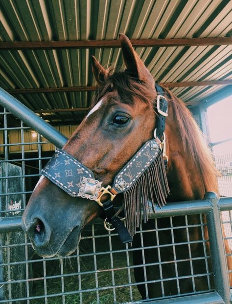 Diy Horse Tack, Western Horse Tack Turquoise, Western Tack Sets, Barrel Racing Tack Sets, Barrel Racing Tack Rodeo, Bling Horse Tack, Bling Tack, Horse Halters, Barrel Racing Tack