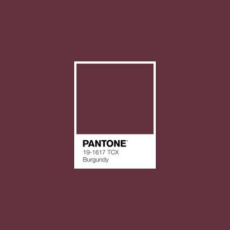 Burgundy Room, Pantone Swatches, Pantone Palette, Pantone Colour Palettes, Cherries Jubilee, Pantone Colors, Fall Color Palette, Colour Board, Color Swatch