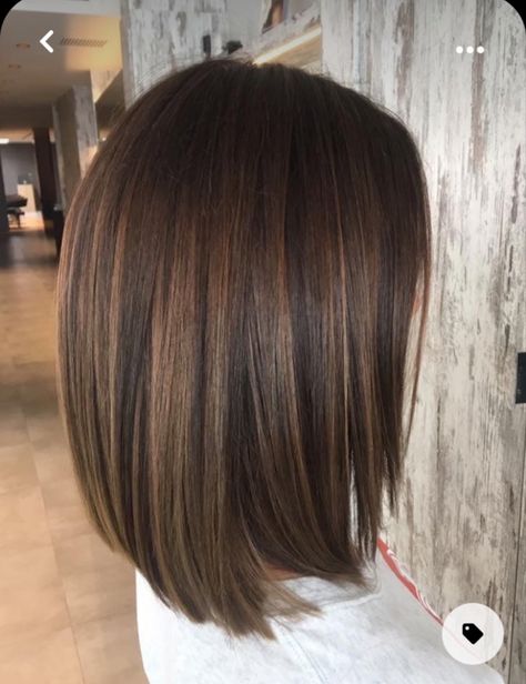 Medium Length Bob Haircut, Kadeřnické Trendy, Colour Hair, Corte Bob, Brunette Hair With Highlights, Vlasové Trendy, Lob Haircut, Trendy Hair Color, Hair Color And Cut