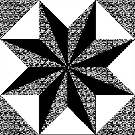 Black And White Quilts, Lone Star Quilt, Painted Barn Quilts, Quilt Care, Barn Quilt Patterns, House And Home, Patchwork Quilt Patterns, Quilt Guild, Star Quilts