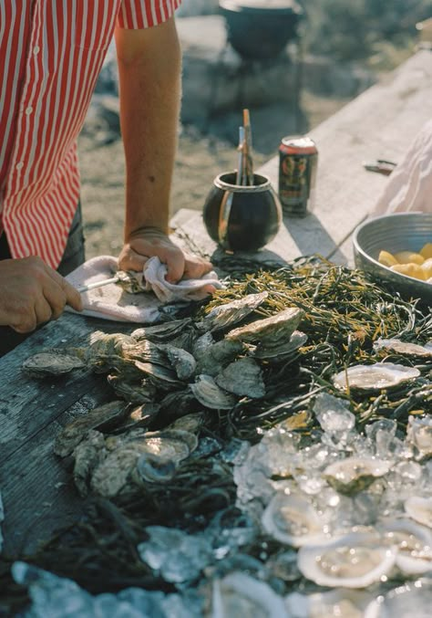 Out and about Oyster Roast, Wedding Style Inspiration, Fresh Oysters, Oyster Bar, I Love Food, Food Styling, Love Food, Food Lover, The Hamptons