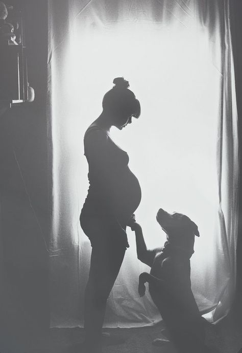 Cute Pregnancy Pictures, Maternity Photography Poses Pregnancy Pics, Baby Announcement Pictures, Photos With Dog, Maternity Photoshoot Poses, Baby Announcement Photos, Shotting Photo, Maternity Photography Poses, Foto Baby