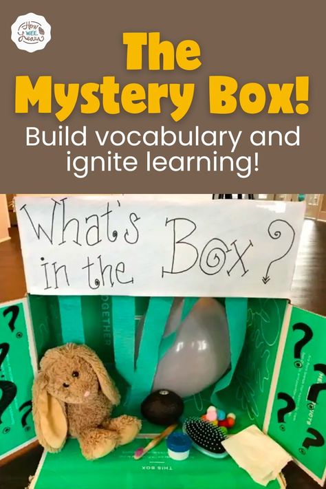 Preschool Mystery Box Ideas, Sensory Mystery Boxes, Whats In The Box Game Ideas For Kids, Story Boxes Preschool, Guess Whats In The Box Game, Whats In The Box Game, Mystery Box Ideas For Kids, Mystery Box Game, Mystery Box For Kids